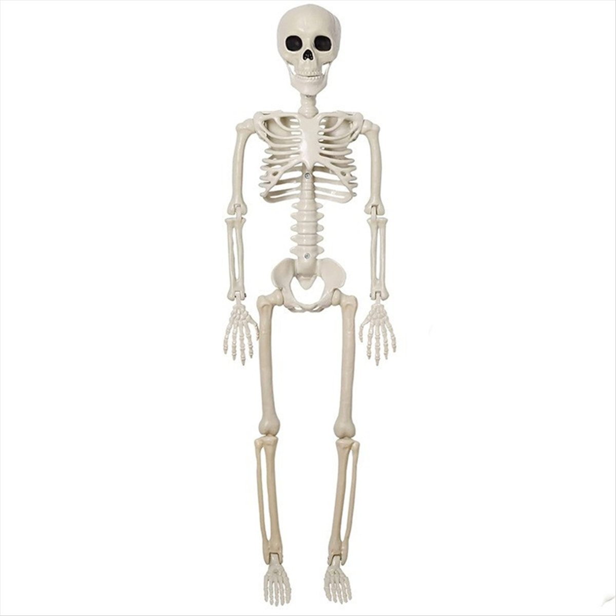 ABLG Cadılar Bayramı İskelet D - Halloween Skeleton Decoration incelemesi ve fiyatı