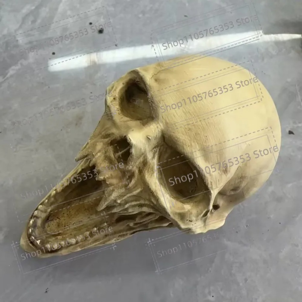 Gotik Çığlık Atan Kafatası Hey - Halloween Skeleton Decoration incelemesi ve fiyatı