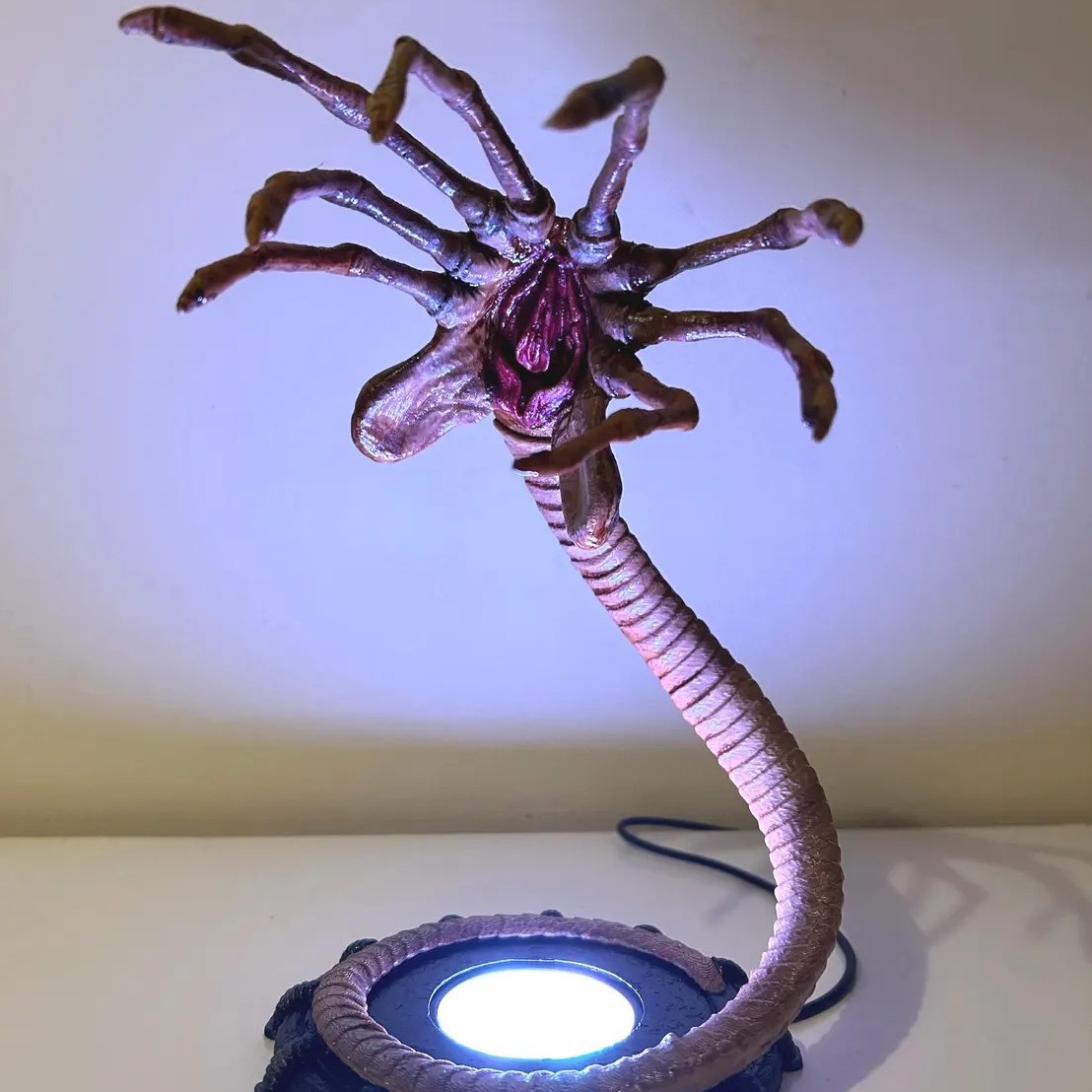 Uzaylı Facehugger Lambası Gece - Pumpkin Lantern Halloween incelemesi ve fiyatı